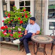 English tutor who teaches English to all ages